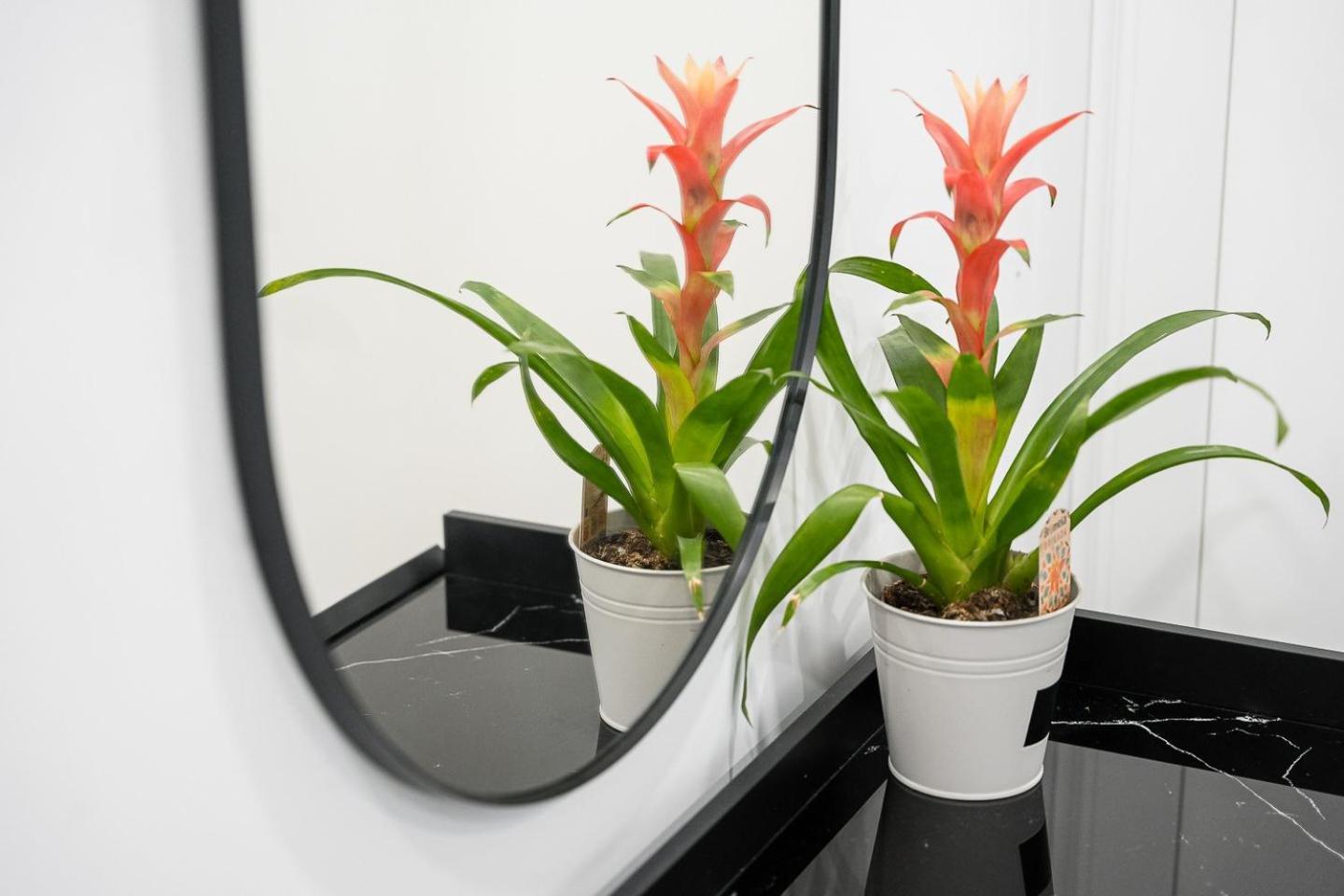 Guestready - Serene Stay In Oporto Exterior foto
